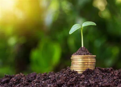 A seedling growing from a pile of coins