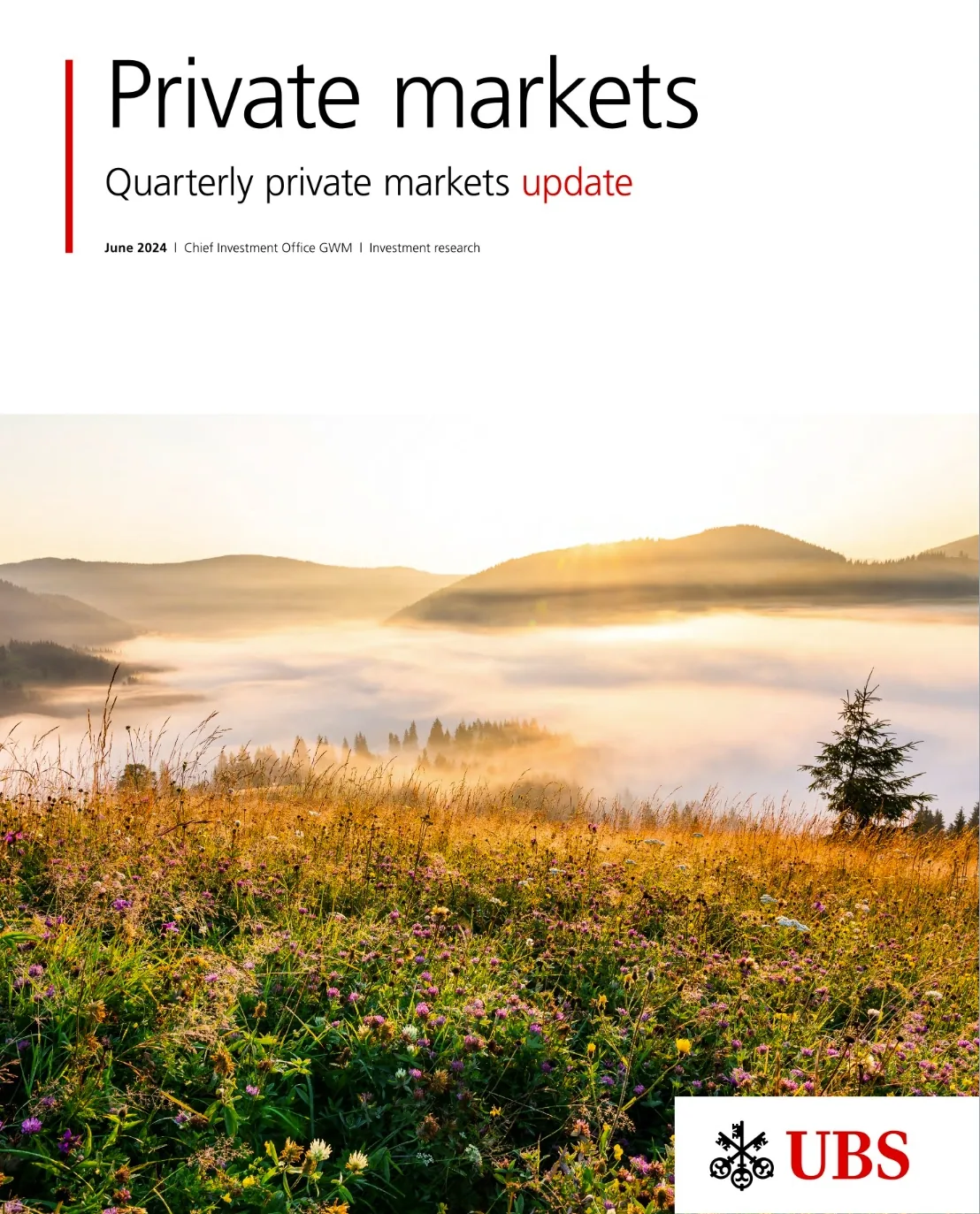 Cover of the UBS private markets update
